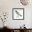 Birds: Passeriformes, White-Browed Sparrow-Weaver (Plocepasser Mahali)-null-Framed Giclee Print displayed on a wall