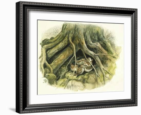 Birds: Passeriformes, Winter Wrens (Troglodytes Troglodytes) Hollow of Tree Trunk-null-Framed Giclee Print