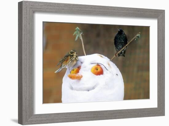 Birds Perched on a Snowman-Dr. Keith Wheeler-Framed Photographic Print