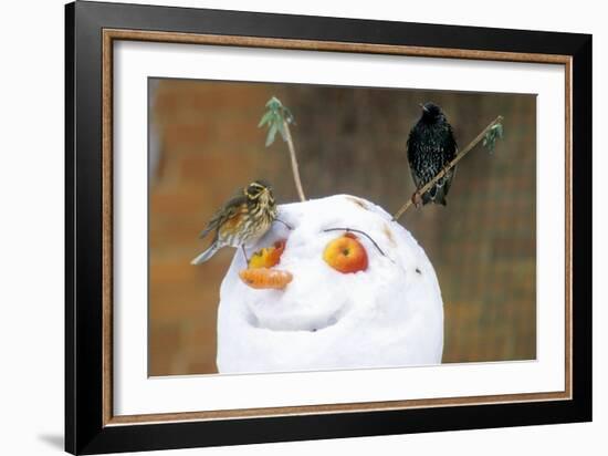 Birds Perched on a Snowman-Dr. Keith Wheeler-Framed Photographic Print