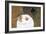 Birds Perched on a Snowman-Dr. Keith Wheeler-Framed Photographic Print