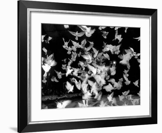 Birds Performing in a Circus-Loomis Dean-Framed Photographic Print