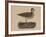 Birds, Plate VI, 1855-null-Framed Giclee Print