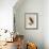 Birds, Plate XV, 1855-null-Framed Giclee Print displayed on a wall