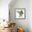 Birds: Psittaciformes, Black-Cheeked Lovebird (Agapornis Nigrigenis)-null-Framed Giclee Print displayed on a wall