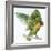 Birds: Psittaciformes, Black-Cheeked Lovebird (Agapornis Nigrigenis)-null-Framed Giclee Print