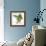 Birds: Psittaciformes, Black-Cheeked Lovebird (Agapornis Nigrigenis)-null-Framed Giclee Print displayed on a wall