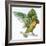 Birds: Psittaciformes, Black-Cheeked Lovebird (Agapornis Nigrigenis)-null-Framed Giclee Print