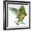 Birds: Psittaciformes, Black-Cheeked Lovebird (Agapornis Nigrigenis)-null-Framed Giclee Print