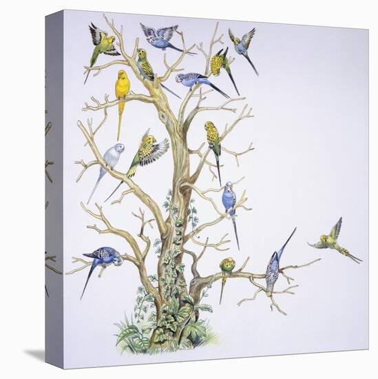 Stretched Canvas Print, , large