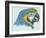 Birds: Psittaciformes, Head of Blue-And-Yellow Macaw (Ara Ararauna)-null-Framed Giclee Print