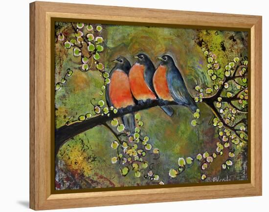 Birds Robins Family Portrait-Blenda Tyvoll-Framed Stretched Canvas