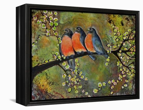 Birds Robins Family Portrait-Blenda Tyvoll-Framed Stretched Canvas