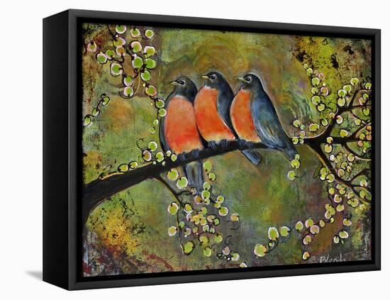 Birds Robins Family Portrait-Blenda Tyvoll-Framed Stretched Canvas