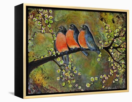 Birds Robins Family Portrait-Blenda Tyvoll-Framed Stretched Canvas