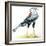 Birds: Secretary Bird-null-Framed Giclee Print