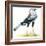 Birds: Secretary Bird-null-Framed Giclee Print