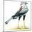 Birds: Secretary Bird-null-Mounted Giclee Print