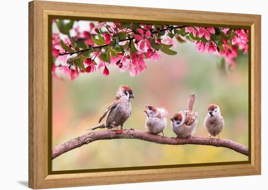 Birds Sparrow with Little Chicks Sitting on a Wooden Fence in the Village Garden Surrounded by Yab-Nataba-Framed Premier Image Canvas