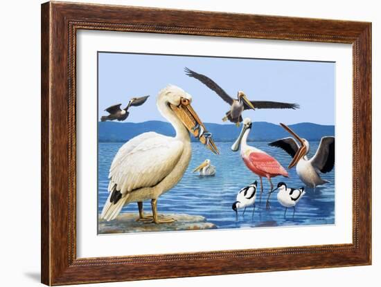 Birds with Strange Beaks-R. B. Davis-Framed Giclee Print