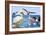 Birds with Strange Beaks-R. B. Davis-Framed Giclee Print