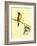 Birds-Aurore De La Morinerie-Framed Art Print