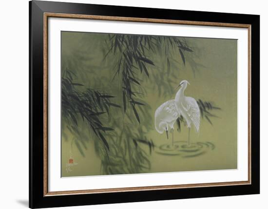 Birds-David Lee-Framed Limited Edition