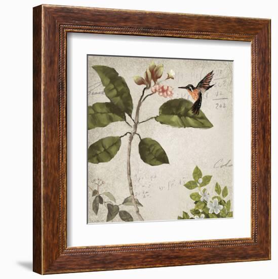 Birds-Rick Novak-Framed Art Print