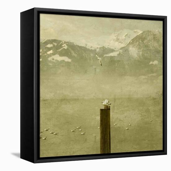 Birds-Philippe Sainte-Laudy-Framed Premier Image Canvas