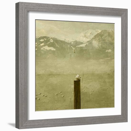 Birds-Philippe Sainte-Laudy-Framed Photographic Print