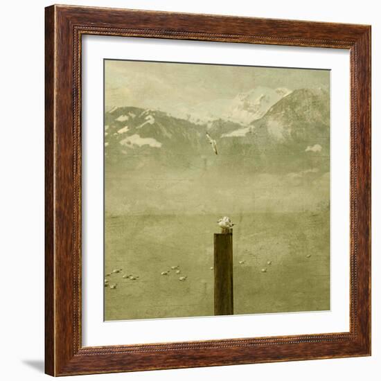 Birds-Philippe Sainte-Laudy-Framed Photographic Print