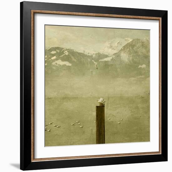 Birds-Philippe Sainte-Laudy-Framed Photographic Print