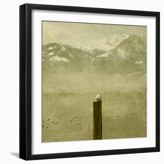 Birds-Philippe Sainte-Laudy-Framed Photographic Print