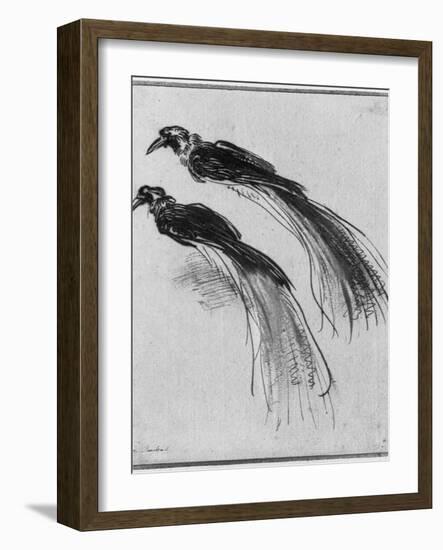 Birds-Rembrandt van Rijn-Framed Giclee Print