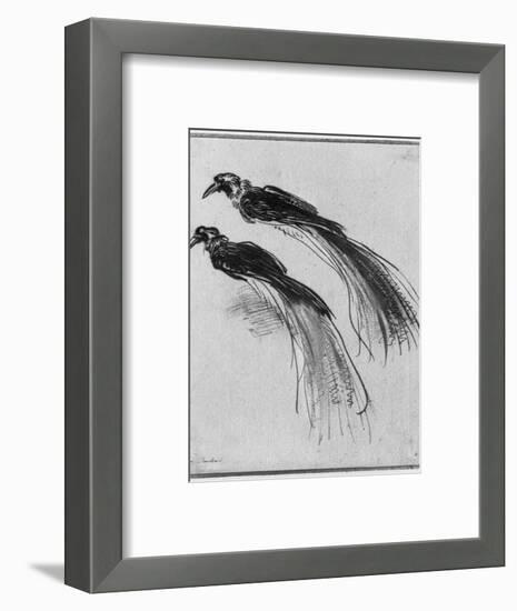 Birds-Rembrandt van Rijn-Framed Premium Giclee Print