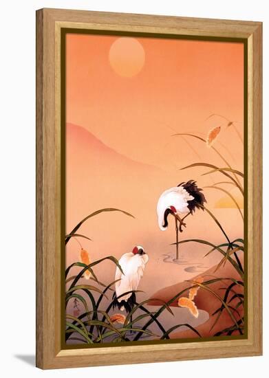 Birds-Haruyo Morita-Framed Stretched Canvas