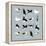 Birds-Hanna Melin-Framed Premier Image Canvas