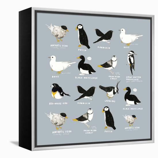 Birds-Hanna Melin-Framed Premier Image Canvas