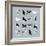 Birds-Hanna Melin-Framed Giclee Print