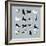 Birds-Hanna Melin-Framed Giclee Print