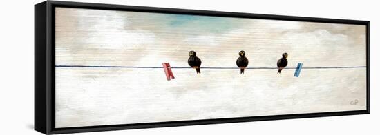 Birds-Chris Ross Williamson-Framed Premier Image Canvas