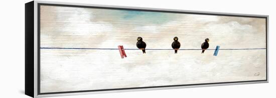 Birds-Chris Ross Williamson-Framed Premier Image Canvas