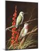 Birds-Trevor V. Swanson-Mounted Giclee Print