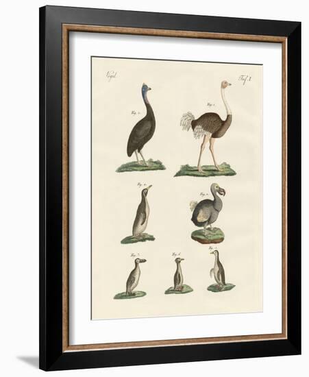 Birds-null-Framed Premium Giclee Print