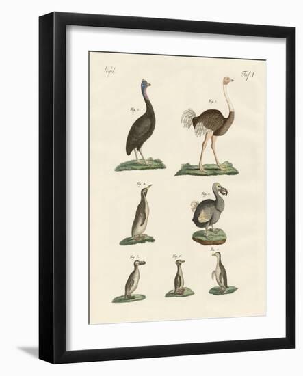 Birds-null-Framed Giclee Print