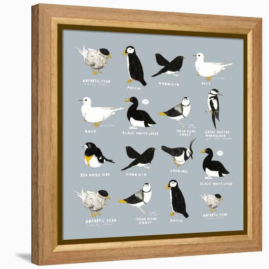 Birds-Hanna Melin-Framed Premier Image Canvas