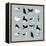 Birds-Hanna Melin-Framed Premier Image Canvas