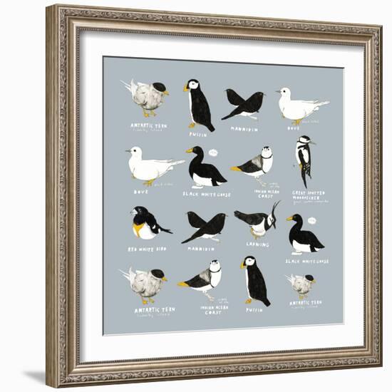 Birds-Hanna Melin-Framed Giclee Print