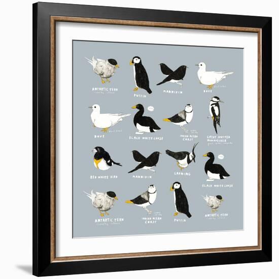 Birds-Hanna Melin-Framed Giclee Print