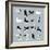 Birds-Hanna Melin-Framed Giclee Print